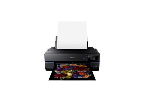 Epson SureColor P800 Driver